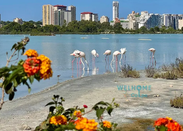 Acuarela Estudio, 1ª Linea, Vista Al Mar, Piscina * Кальпе